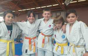 Tournoi par équipe des Saintes Maries de la mer